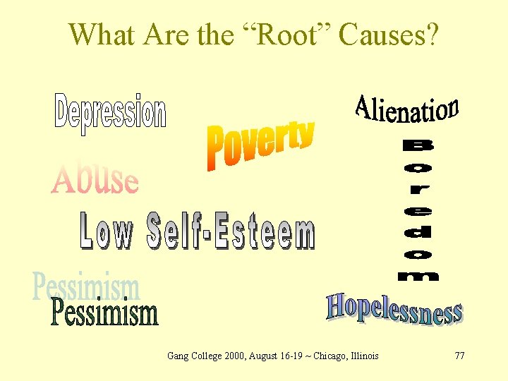What Are the “Root” Causes? Gang College 2000, August 16 -19 ~ Chicago, Illinois