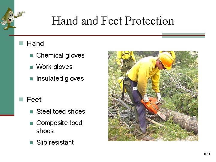 Hand Feet Protection n Hand n Chemical gloves n Work gloves n Insulated gloves