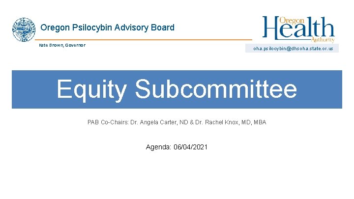 Oregon Psilocybin Advisory Board Kate Brown, Governor oha. psilocybin@dhsoha. state. or. us Equity Subcommittee