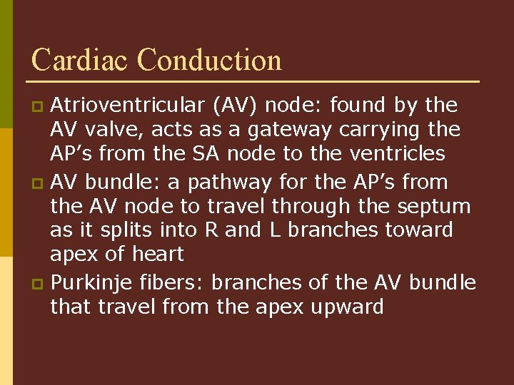 Cardiac Conduction Atrioventricular (AV) node: found by the AV valve, acts as a gateway