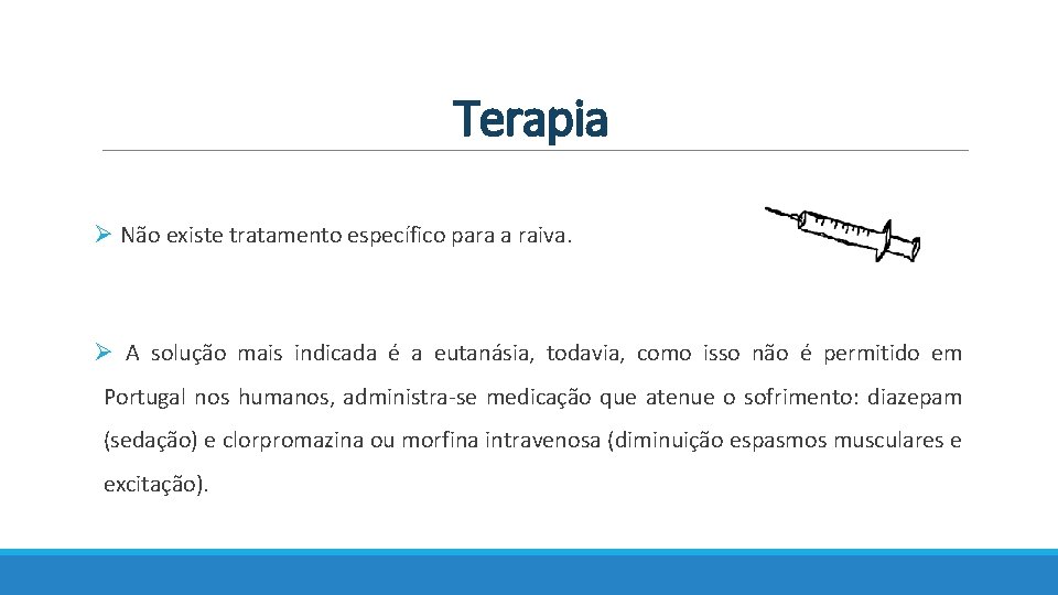 Terapia Ø Não existe tratamento específico para a raiva. Ø A solução mais indicada