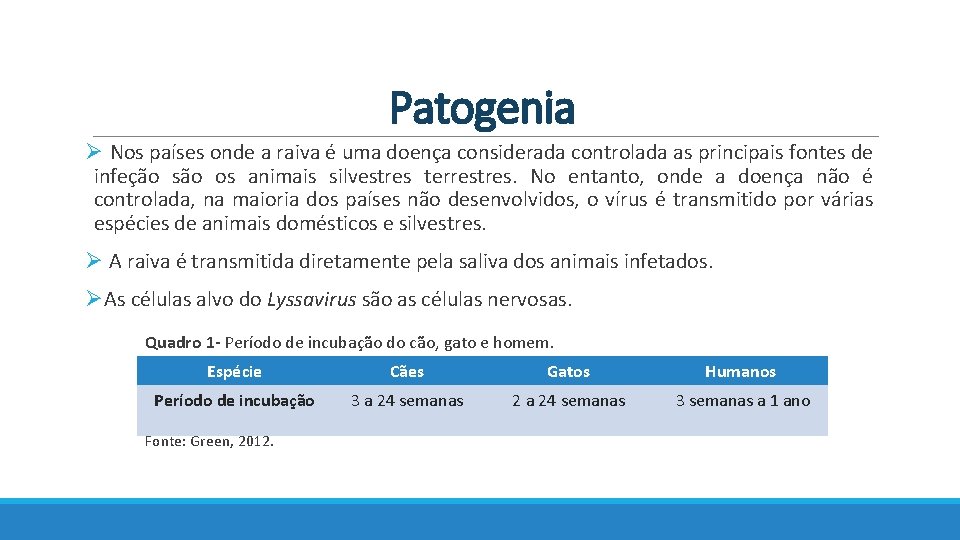 Patogenia Ø Nos países onde a raiva é uma doença considerada controlada as principais