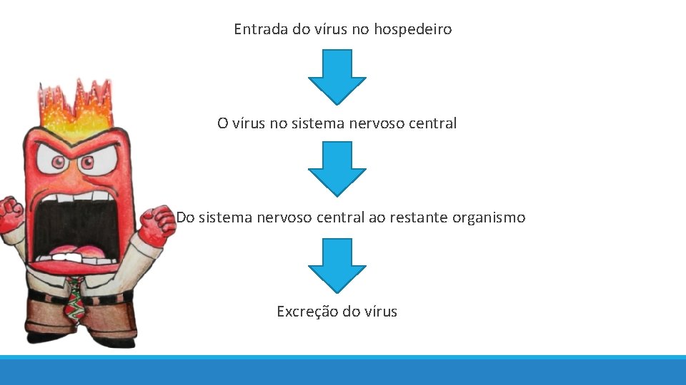 Entrada do vírus no hospedeiro O vírus no sistema nervoso central Do sistema nervoso