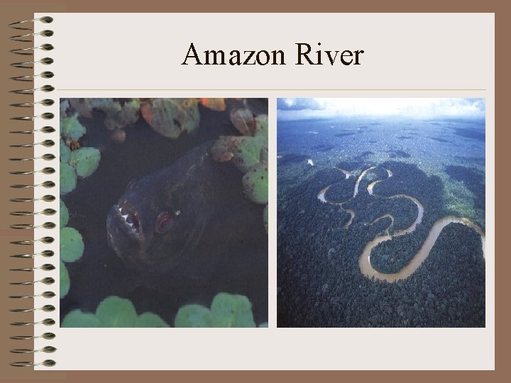 Amazon River 