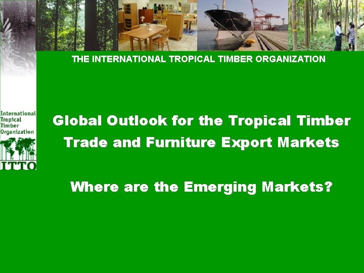 THE INTERNATIONAL TROPICAL TIMBER ORGANIZATION Global Outlook for the Tropical Timber Trade and Furniture