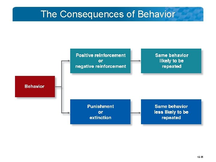 The Consequences of Behavior 10 -35 