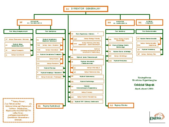 DG DT DYREKTOR GENERALNY DYREKTOR DS. TECHNICZNYCH Pion Usług Energetycznych DH Biuro Organizacji i