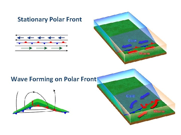 Stationary Polar Front Wave Forming on Polar Front 