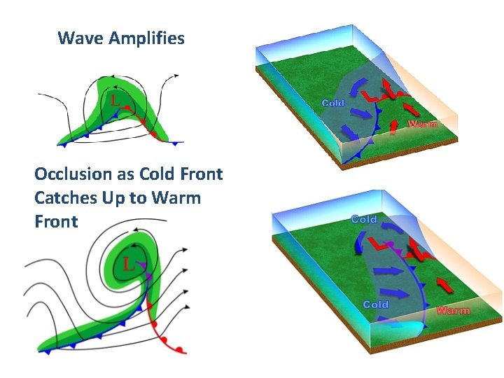 Wave Amplifies Occlusion as Cold Front Catches Up to Warm Front 