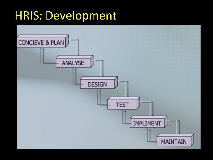 HRIS: Development 