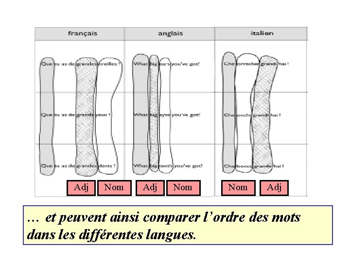 Adj Nom Nom Adj … et peuvent ainsi comparer l’ordre des mots dans les