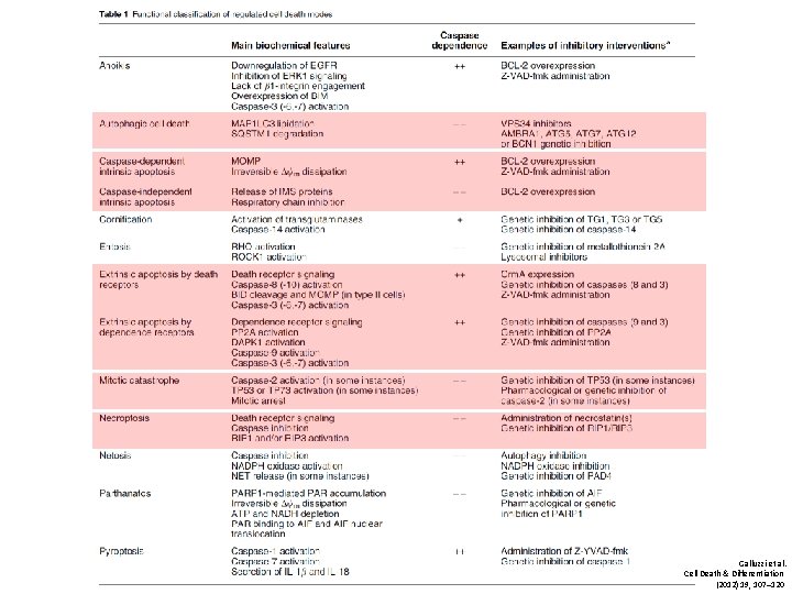 Galluzzi et al. Cell Death & Differentiation (2012) 19, 107– 120 