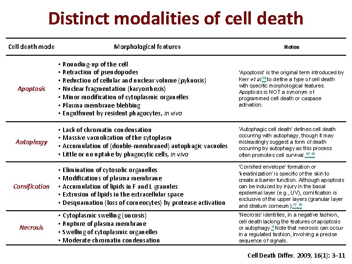 Distinct modalities of cell death Cell death mode Morphological features Notes Apoptosis • Rounding-up