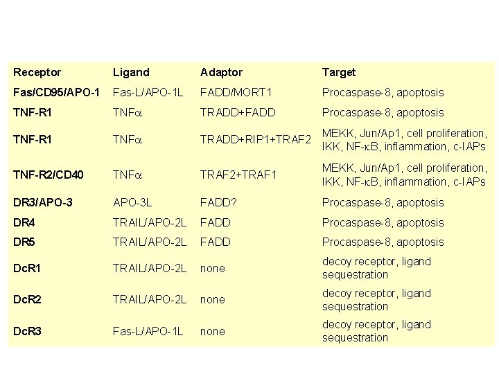 Receptor Ligand Adaptor Target Fas/CD 95/APO-1 Fas-L/APO-1 L FADD/MORT 1 Procaspase-8, apoptosis TNF-R 1