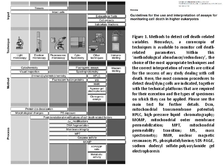 Figure 1. Methods to detect cell death-related variables. Nowadays, a cornucopia of techniques is