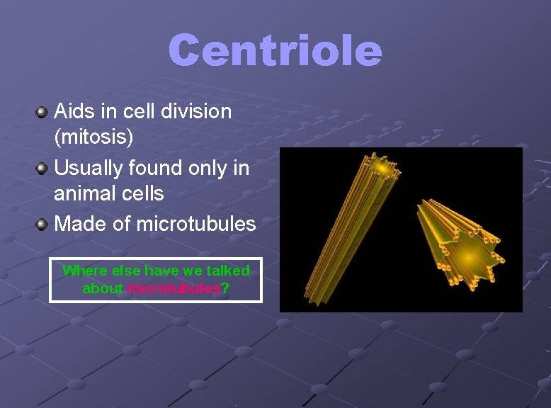 Centriole Aids in cell division (mitosis) Usually found only in animal cells Made of