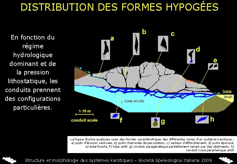 DISTRIBUTION DES FORMES HYPOGÉES En fonction du régime hydrologique dominant et de la pression