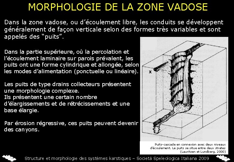 MORPHOLOGIE DE LA ZONE VADOSE Dans la zone vadose, ou d’écoulement libre, les conduits