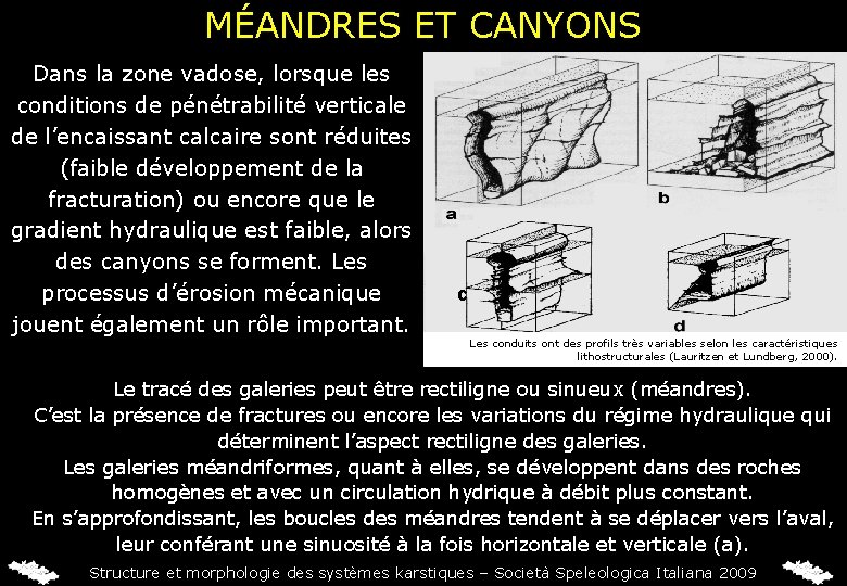MÉANDRES ET CANYONS Dans la zone vadose, lorsque les conditions de pénétrabilité verticale de