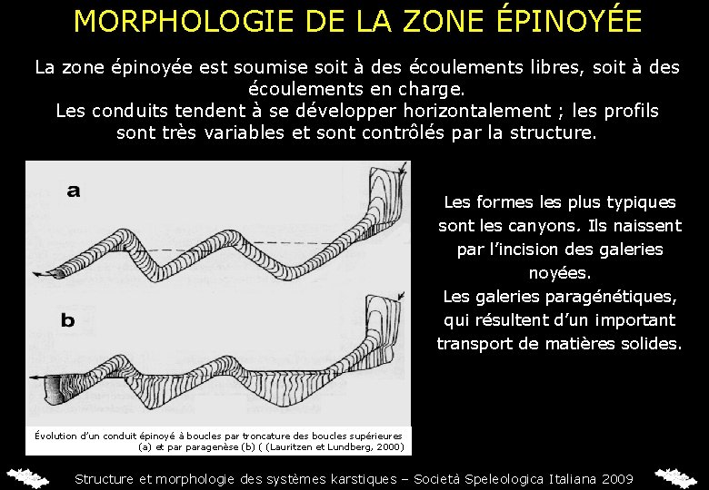 MORPHOLOGIE DE LA ZONE ÉPINOYÉE La zone épinoyée est soumise soit à des écoulements