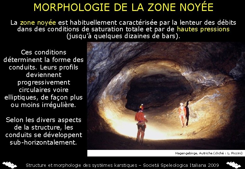 MORPHOLOGIE DE LA ZONE NOYÉE La zone noyée est habituellement caractérisée par la lenteur