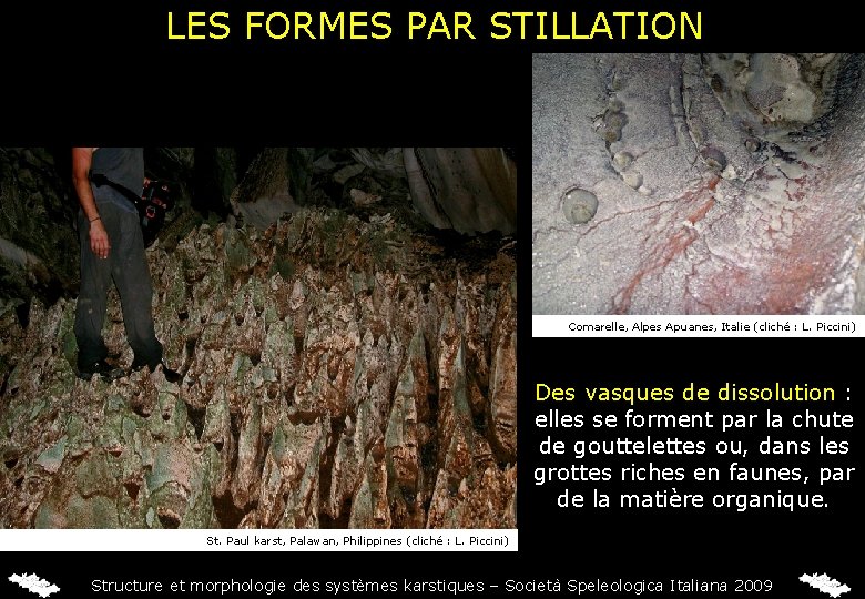 LES FORMES PAR STILLATION Comarelle, Alpes Apuanes, Italie (cliché : L. Piccini) Des vasques