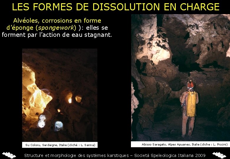 LES FORMES DE DISSOLUTION EN CHARGE Alvéoles, corrosions en forme d’éponge (spongework) ): elles