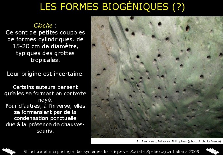 LES FORMES BIOGÉNIQUES (? ) Cloche : Ce sont de petites coupoles de formes
