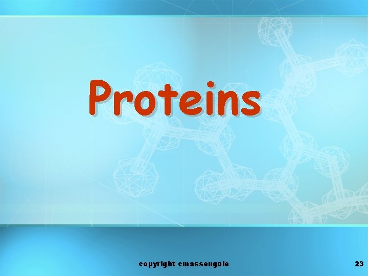Proteins copyright cmassengale 23 