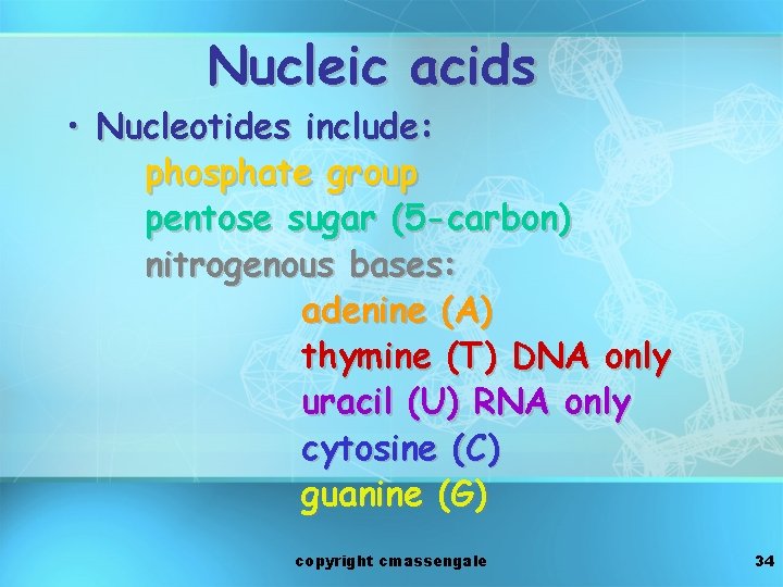Nucleic acids • Nucleotides include: phosphate group pentose sugar (5 -carbon) nitrogenous bases: adenine