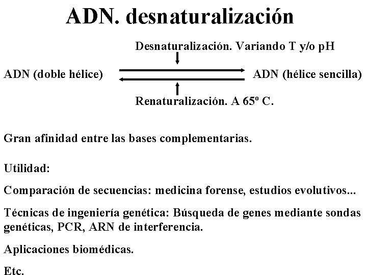 ADN. desnaturalización Desnaturalización. Variando T y/o p. H ADN (doble hélice) ADN (hélice sencilla)