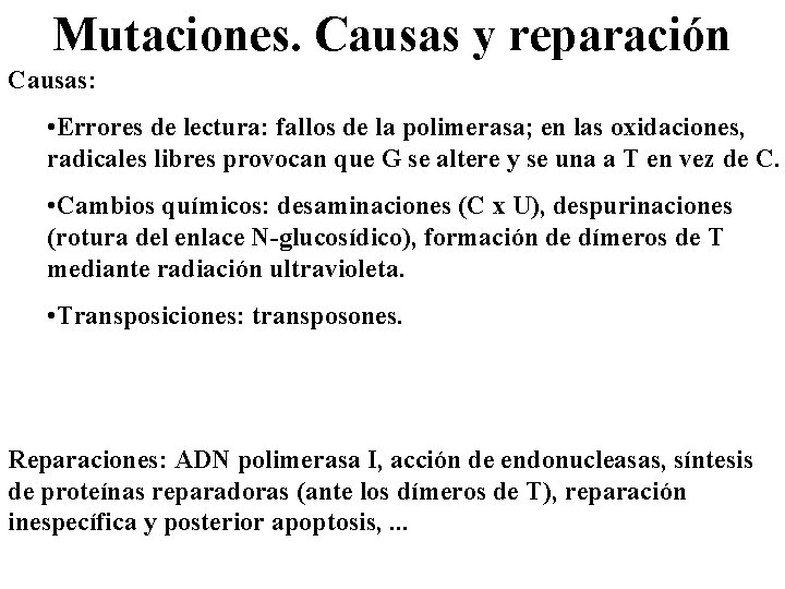 Mutaciones. Causas y reparación Causas: • Errores de lectura: fallos de la polimerasa; en