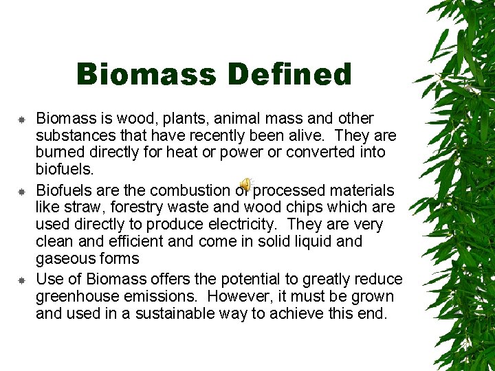 Biomass Defined Biomass is wood, plants, animal mass and other substances that have recently