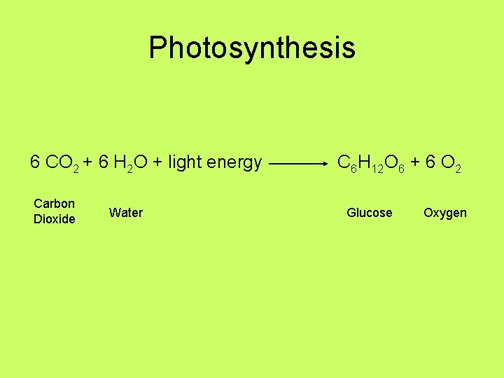 Photosynthesis 6 CO 2 + 6 H 2 O + light energy Carbon Dioxide Photosynthesis 6 CO 2 + 6 H 2 O + light energy Carbon Dioxide