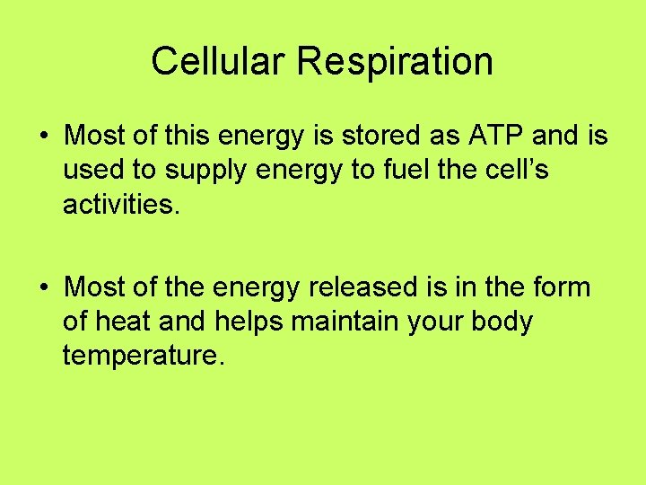 Cellular Respiration • Most of this energy is stored as ATP and is used Cellular Respiration • Most of this energy is stored as ATP and is used