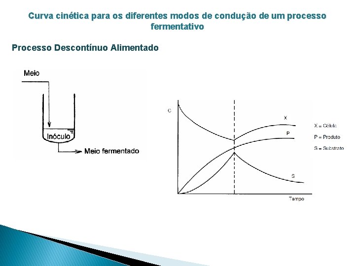 Curva cinética para os diferentes modos de condução de um processo fermentativo Processo Descontínuo