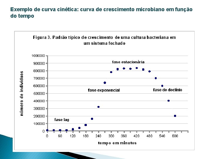 Exemplo de curva cinética: curva de crescimento microbiano em função do tempo 