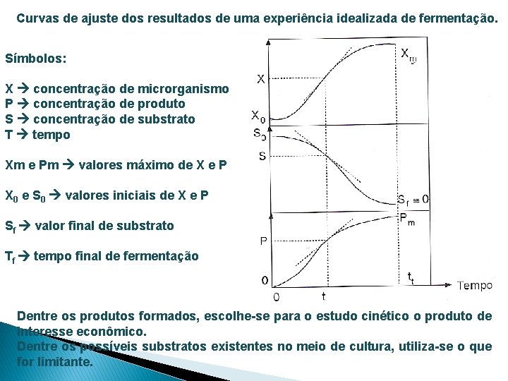 Curvas de ajuste dos resultados de uma experiência idealizada de fermentação. Símbolos: X concentração