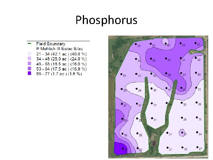 Phosphorus 