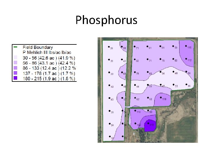 Phosphorus 