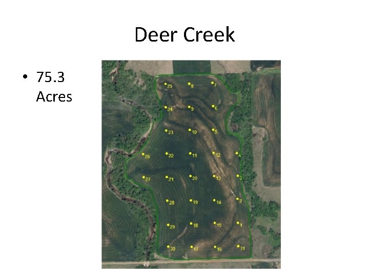 Deer Creek • 75. 3 Acres 