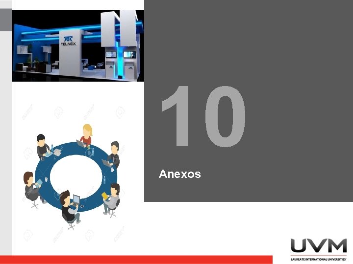 10 Anexos 