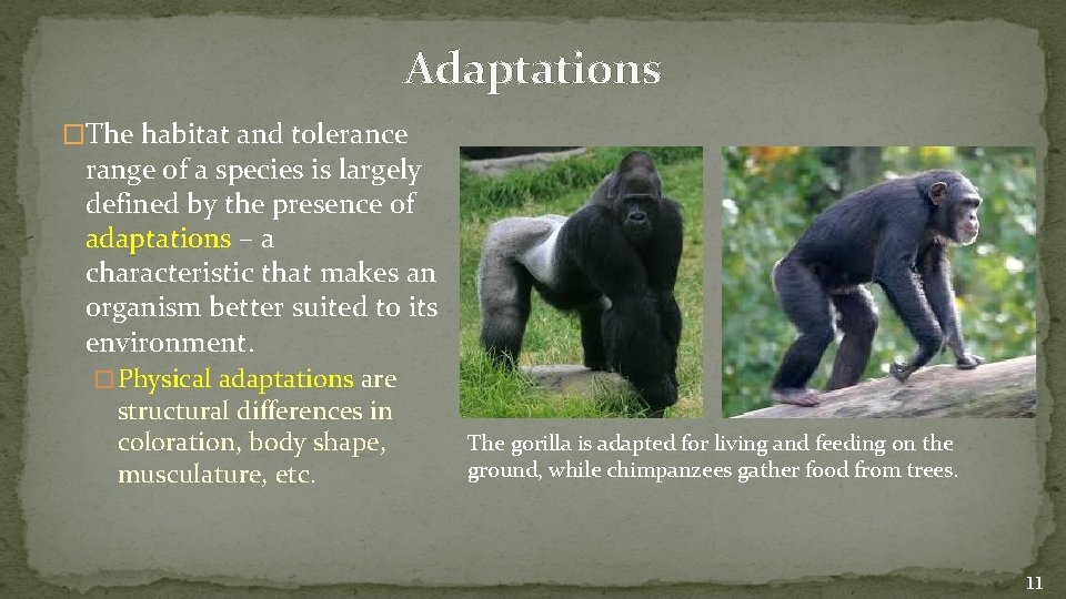 Adaptations �The habitat and tolerance range of a species is largely defined by the