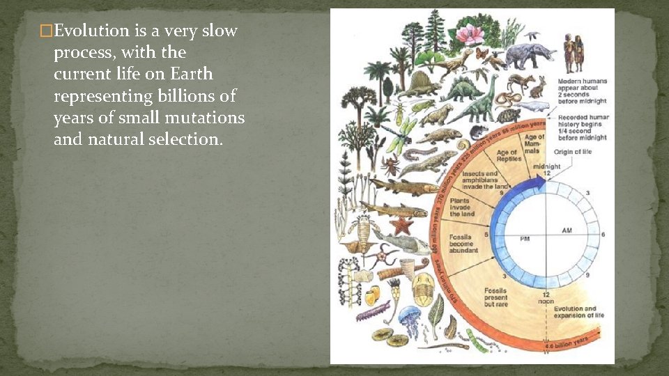 �Evolution is a very slow process, with the current life on Earth representing billions