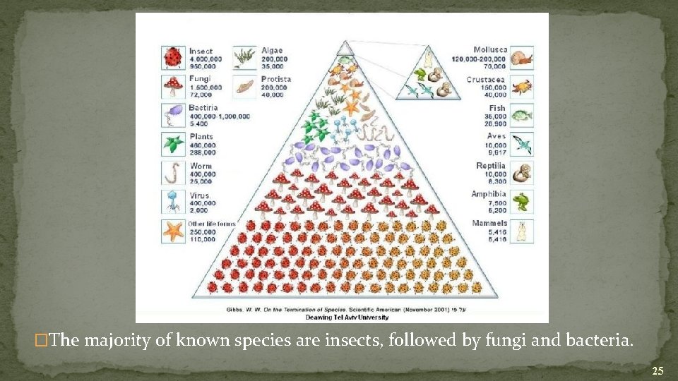 �The majority of known species are insects, followed by fungi and bacteria. 25 