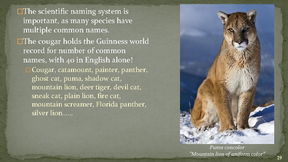 �The scientific naming system is important, as many species have multiple common names. �The