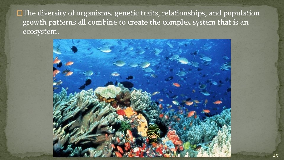 �The diversity of organisms, genetic traits, relationships, and population growth patterns all combine to