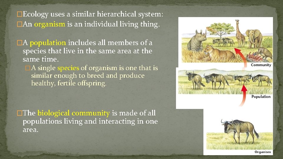 �Ecology uses a similar hierarchical system: �An organism is an individual living thing. �A