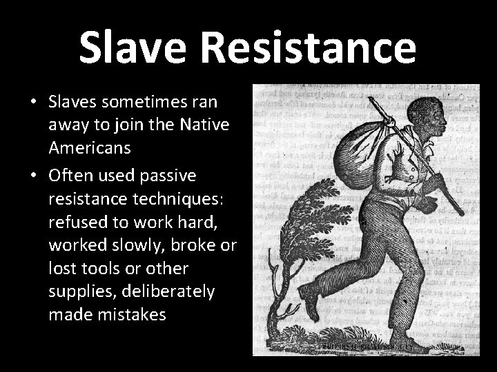 Slave Resistance • Slaves sometimes ran away to join the Native Americans • Often Slave Resistance • Slaves sometimes ran away to join the Native Americans • Often