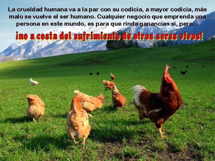 La crueldad humana va a la par con su codicia, a mayor codicia, más